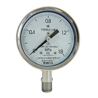 YE-150B stainless steel capsule pressure gauge
