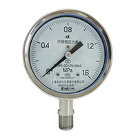 YE-60B stainless steel capsule pressure gauge