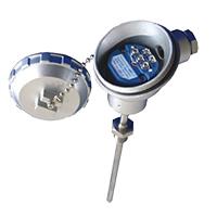 SBW integrated temperature transmitter