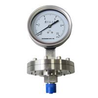 Y-100BFZ/MF/316L ​Stainless Steel Diaphragm pressure gauge 