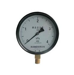 YE-75 Capsule Pressure Gauge